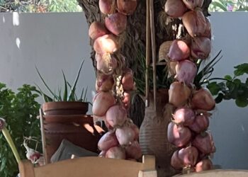 Σκύρος: Μια κούκλα στο κέντρο του Αιγαίου