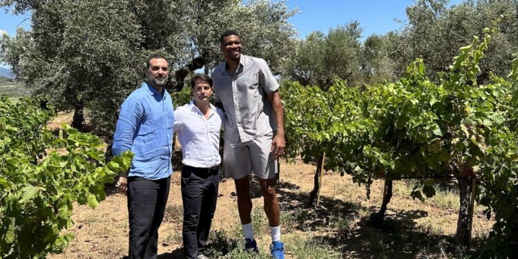 Εξαγορά του Village Cinema Ρέντη από την PREMIA Properties και  την οικογένεια Αντετοκούνμπο