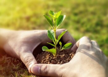 Πρωτοβουλία «75UN – 75 Trees UNAI SDG7»