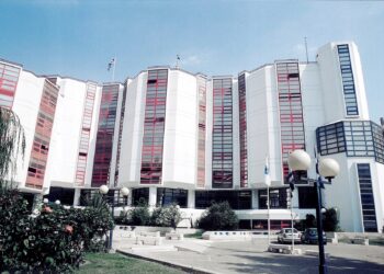 Στην AMPLUS έργο εφαρμογών ΑΙ για το ΠΑ.ΠΕΙ.