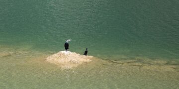 ΔΕΗ – Hydropower Sustainability Alliance: Συνεργασία για την ενίσχυση βιωσιμότητας στην υδροηλεκτρική παραγωγή