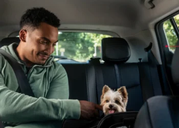 Το Uber Taxi Pet έρχεται στην Ελλάδα: γιατί κάθε διαδρομή είναι καλύτερη με παρέα