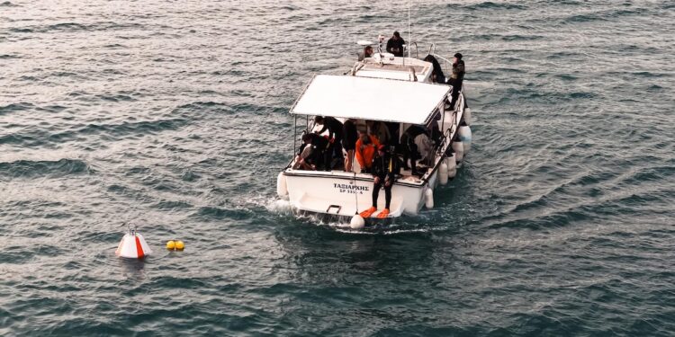 Posidonia Oceanica: Do Not Disturb