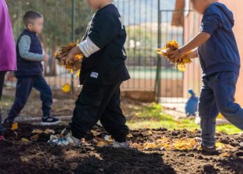 ΔΕΗ: Carbon Farming Schools 2025