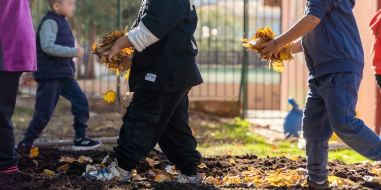ΔΕΗ: Carbon Farming Schools 2025