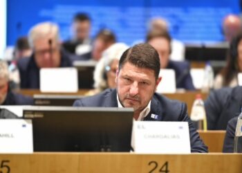 Νίκος Χαρδαλιάς: Η πολιτική προστασία θα πρέπει να αποτελέσει πυλώνα της ευρωπαϊκής ασφάλειας