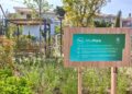 ΔΕΗ: Δημιούργησε 23 πάρκα τσέπης σε Αθήνα και Θεσσαλονίκη